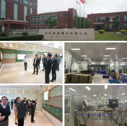 产业突破之旅 第四届中日营养健康市场峰会暨远程健康管理服务赋能圆满落幕